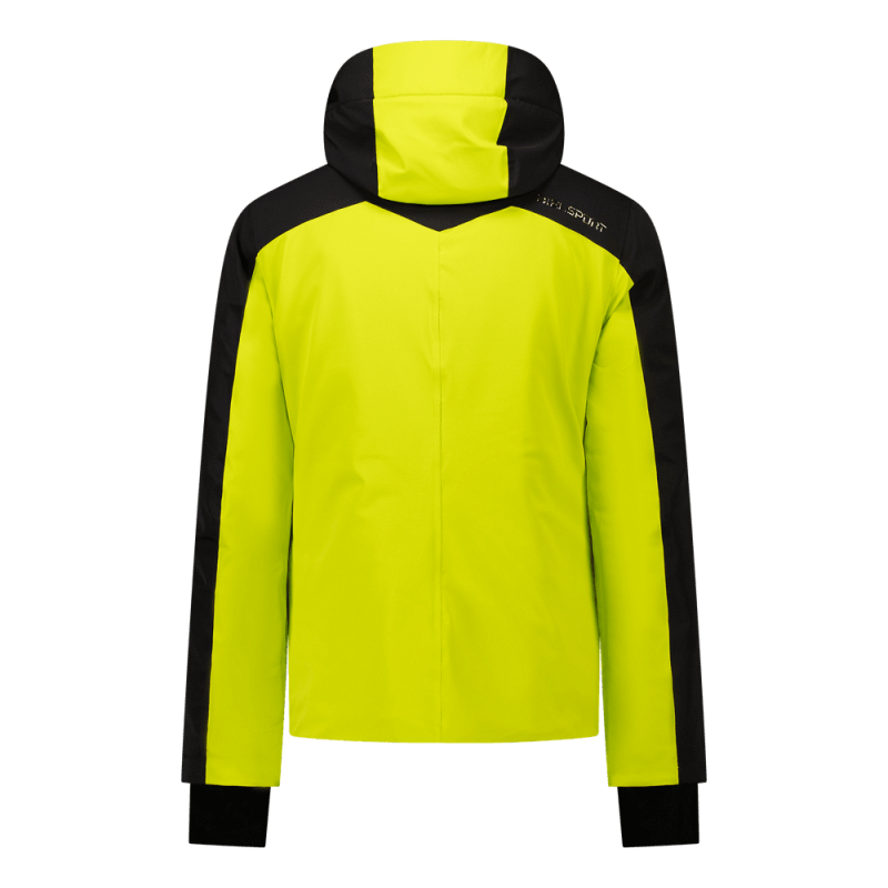 PRINCE | YELLOW | M(50) | Diel